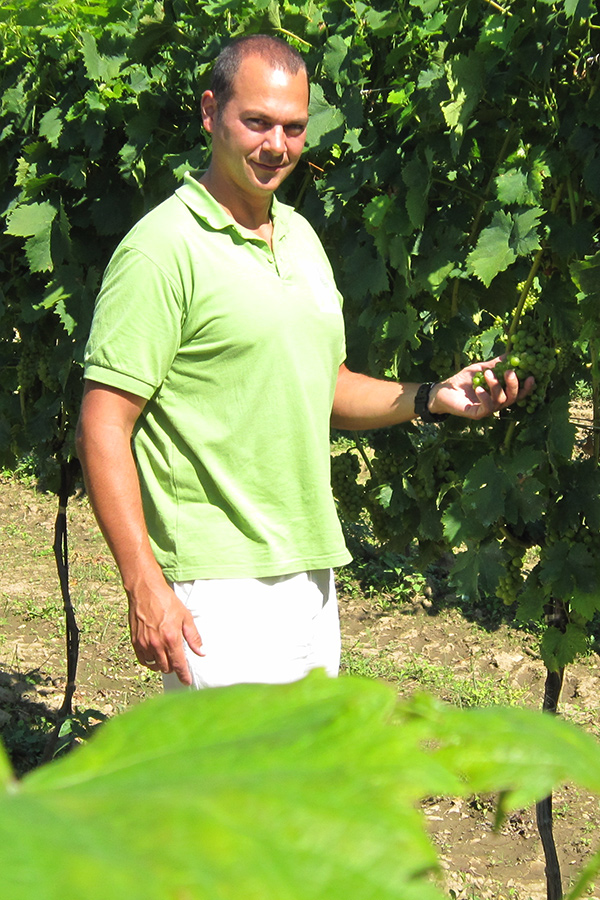 Christian Lentsch mit Trauben im Weingarten